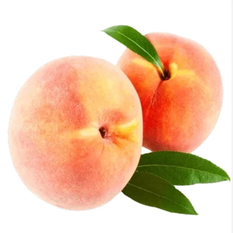 نهال هلو سرخ و سفید