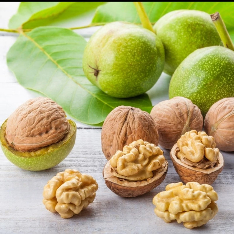 نهال گردو چندلر