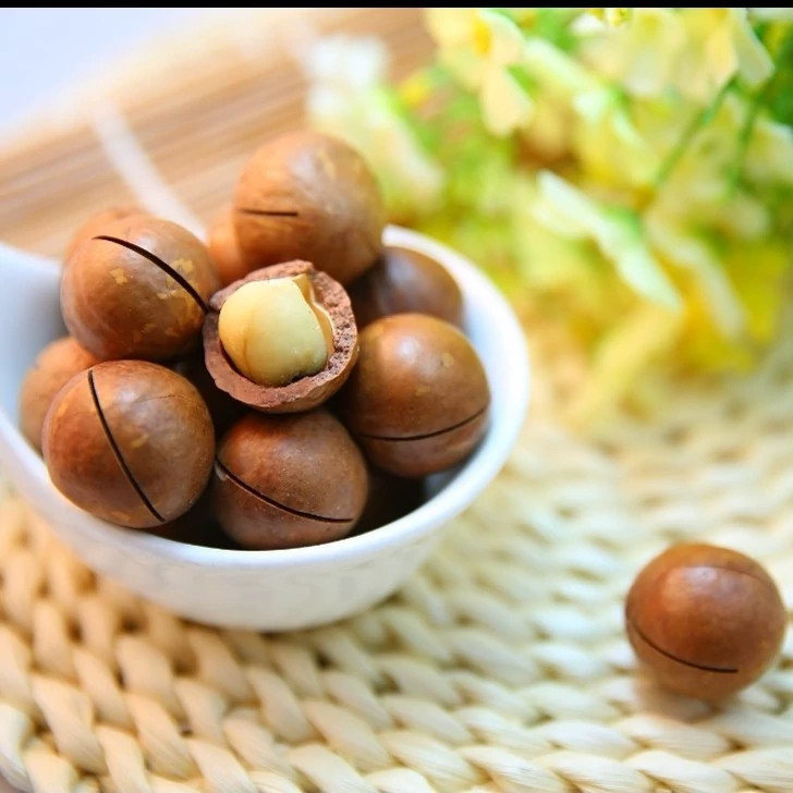 نهال فندق انیس ترکیه