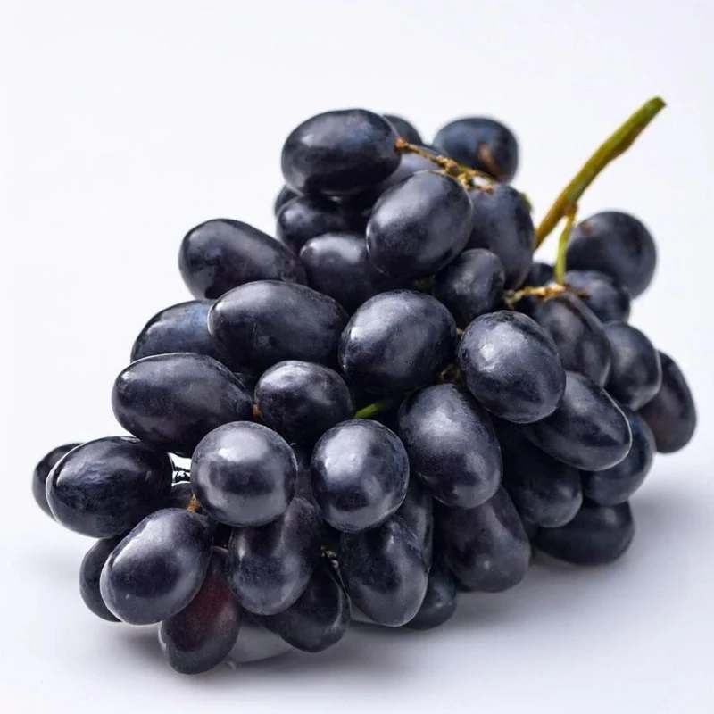 انگور شاراد سیدلس