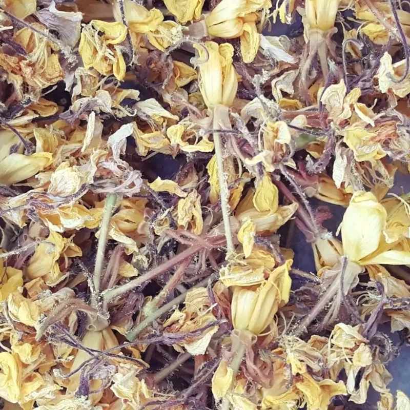گل مغربی یک کیلویی