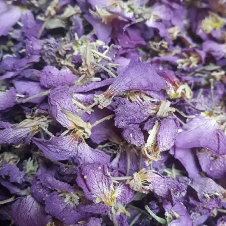 گل مغربی یک کیلویی