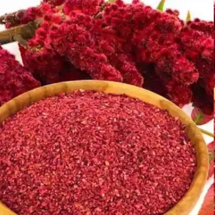 نهال سماق کوهی