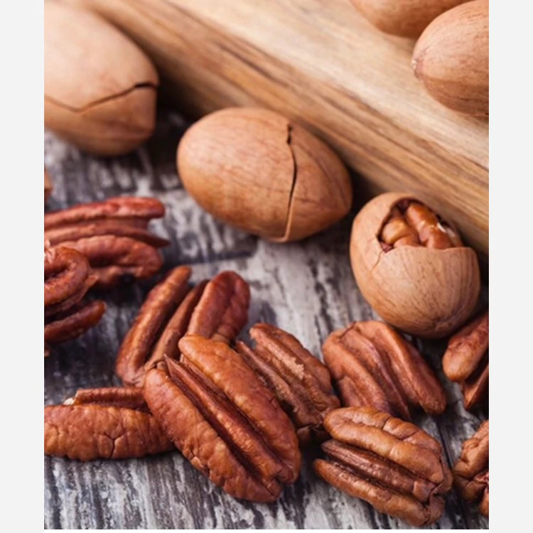نهال گردو پیکان پیوندی
