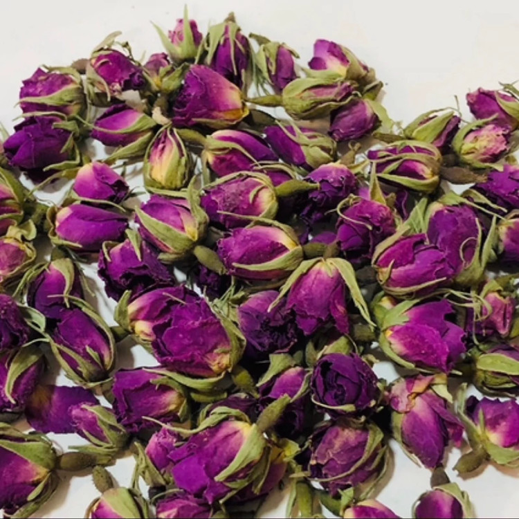 نهال گل محمدی تیره