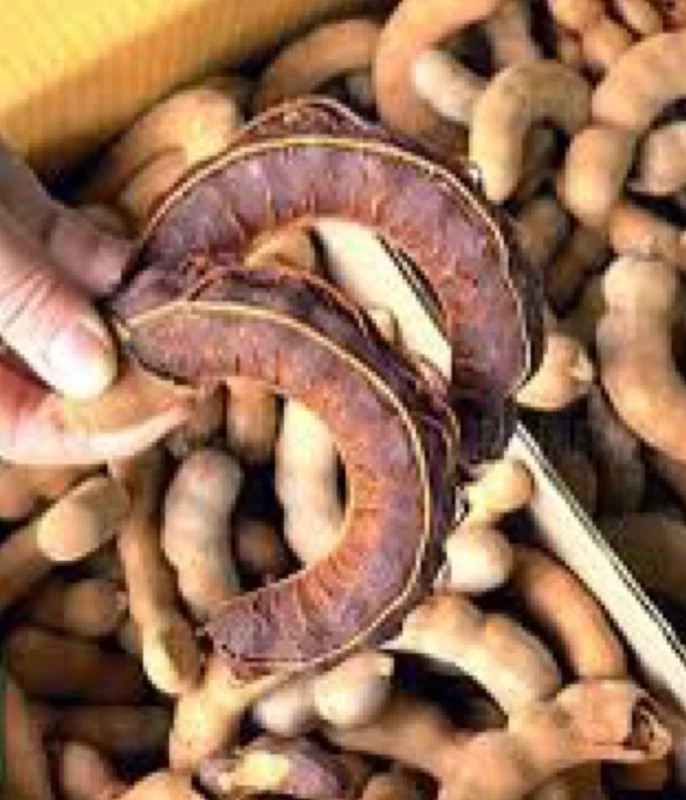 میوه تمر ترش تایلندی