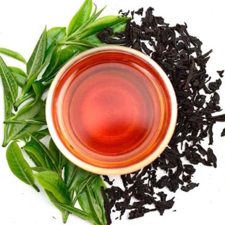 نهال چای قرمز