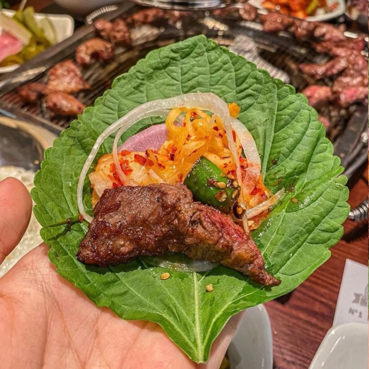 بوته نعنا ژاپنی پریلا