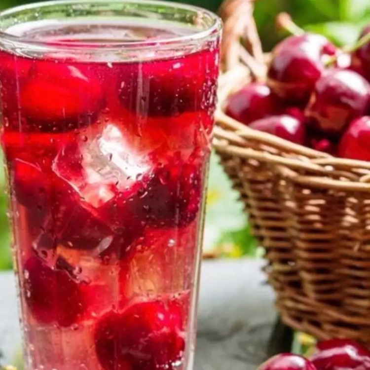 نهال آلبالو گیسی