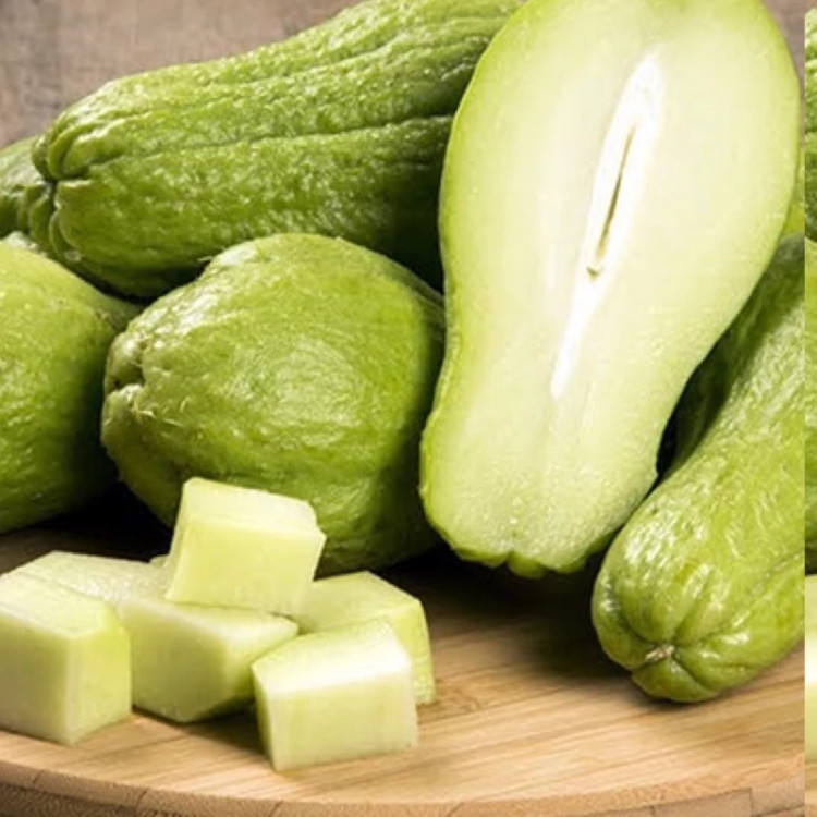 نهال کدو دائمی چایوت