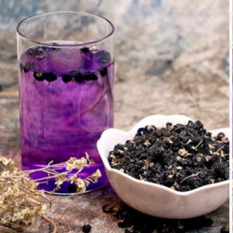 نهال گوجی بری سیاه
