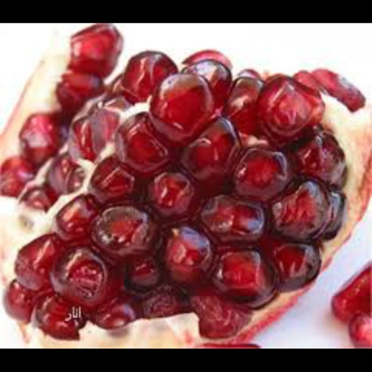 نهال انار فردوس. ارسال پسکرایه