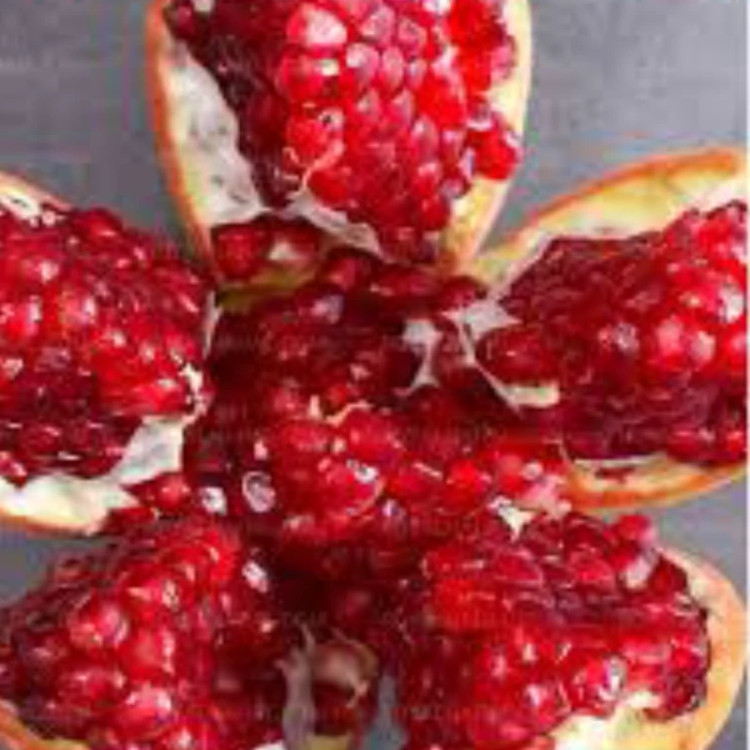 نهال انار گرین گلوب. ارسال پسکرایه