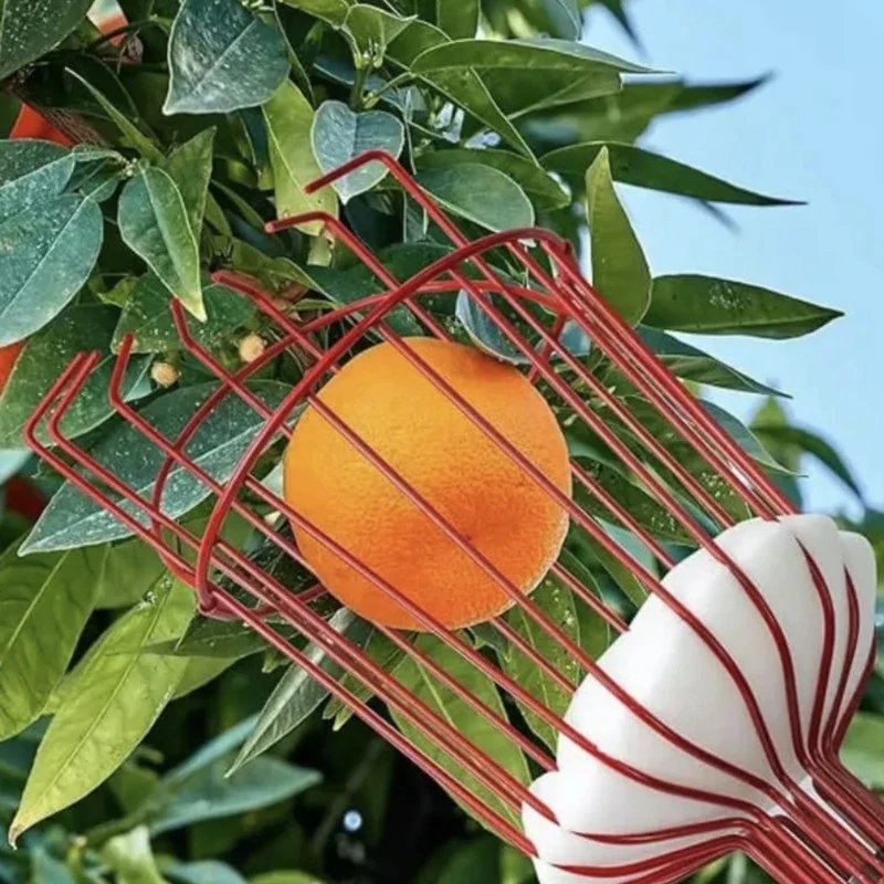 سبد میوه چین مدل RS کد A001 مدل 1