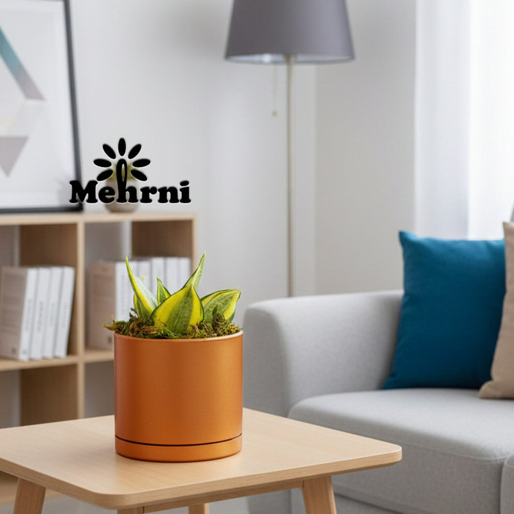 گلدان مدل استوانه ای مهرنی 10310B