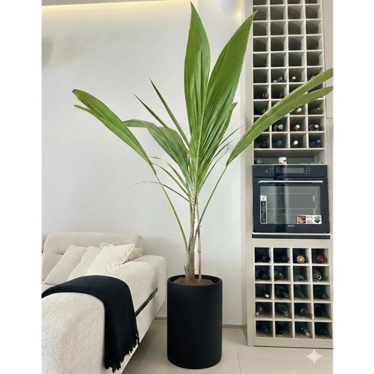 گلدان مدل استوانه ای مهرنی 12325 مدل 1