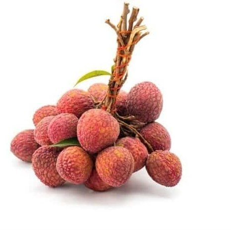 نهال لیچی دو ساله