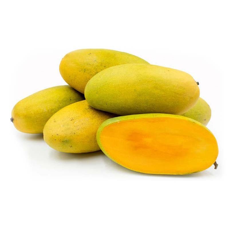 نهال انبه لانگرا (پاکستانی) پیوندی