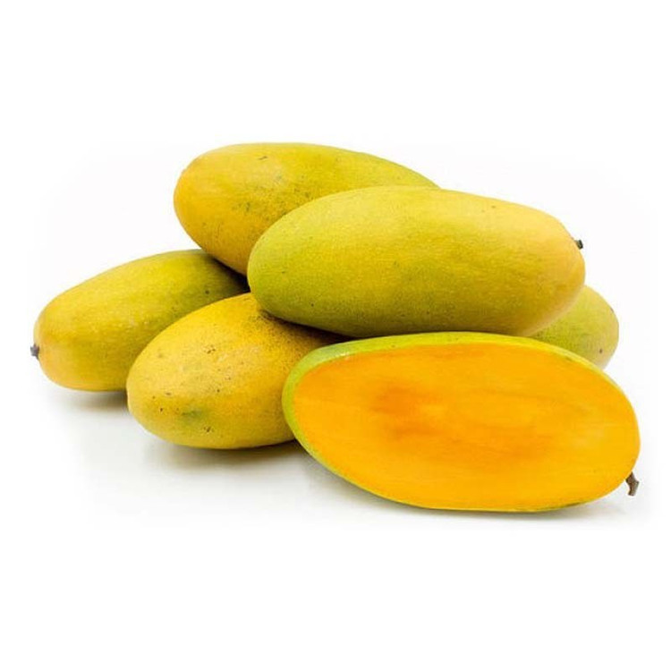 نهال انبه لانگرا (پاکستانی) پیوندی