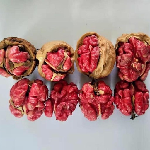 نهال گردو تو سرخ لیورمور اصل گلدانی 3 ساله پیوندی(پسکرایه)