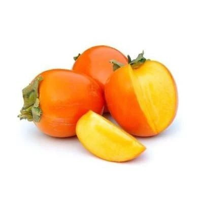 نهال خرمالو موزی پیوندی اصل گلدانی (پسکرایه)