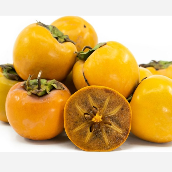 نهال خرمالو شکلاتی ایورکا پیوندی 2متری گلدانی(پسکرایه)