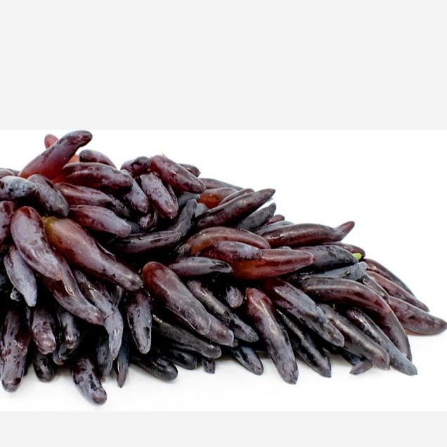 نهال انگور شمشیری سیاه 2ساله (پس کرایه)