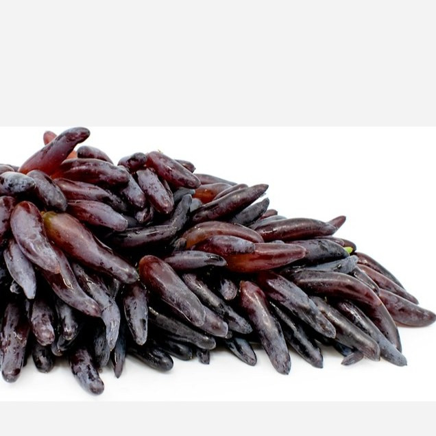 نهال انگور شمشیری سیاه 2ساله (پس کرایه)